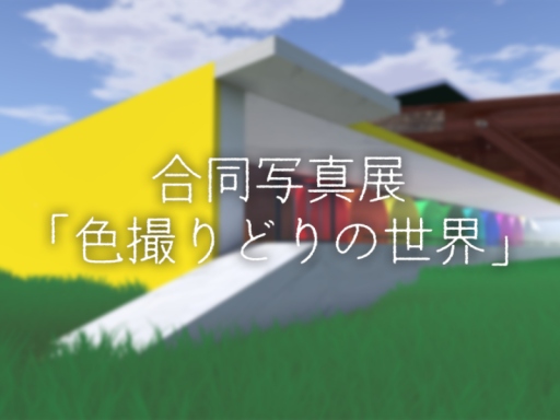 合同写真展「色撮りどりの世界」