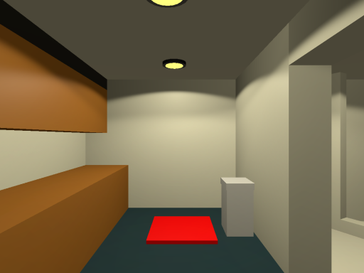 Dorm 310