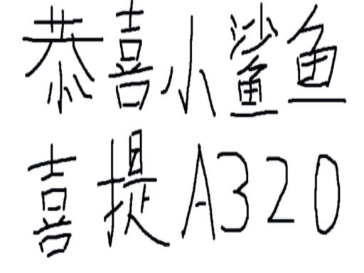 小鲨鱼喜提A320