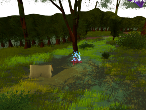 Calm Forest