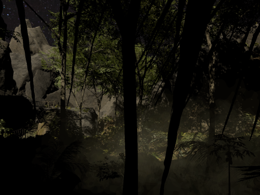 Heart of the Jungle