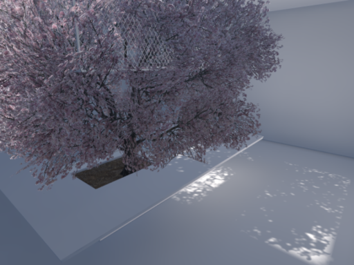 wip․