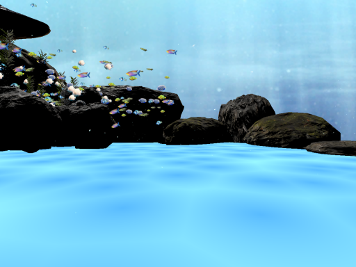 Can You Sea?