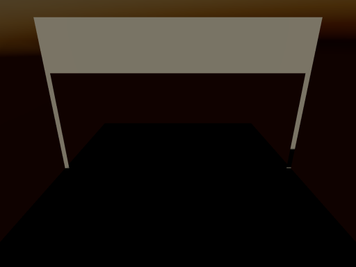 Mirror in the Void