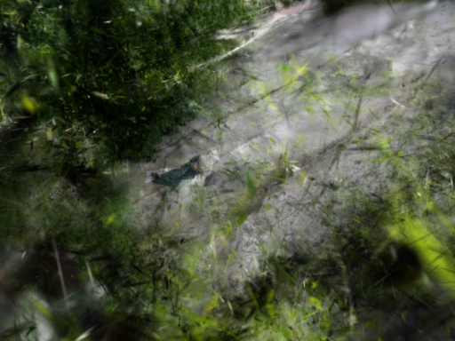 I-840 Natchez Trace Overpass Gaussian Splat
