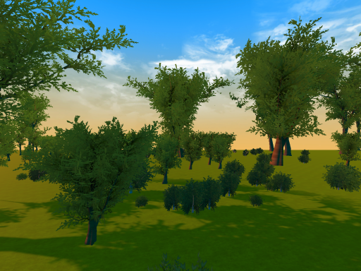 relaxing Forest