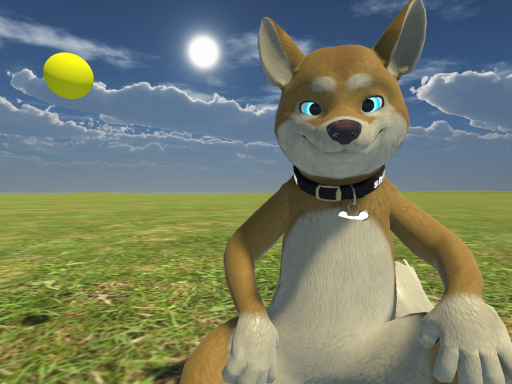 Shiba Fetch