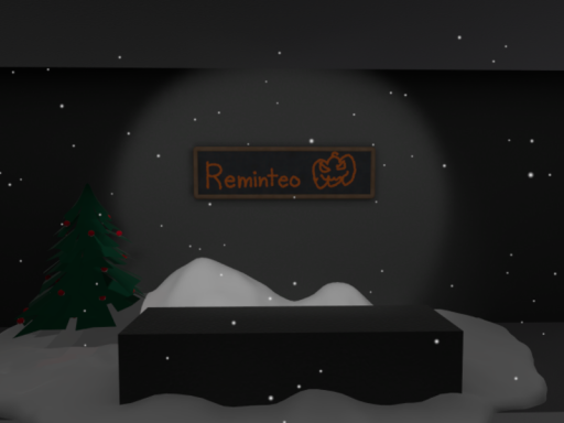 The Remseum
