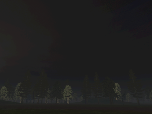 Night Forest