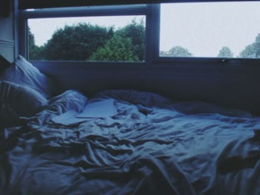 Cozy Dream