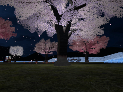 夜桜-Cherry blossoms at night- RE
