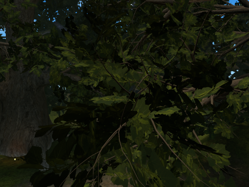 Tree House