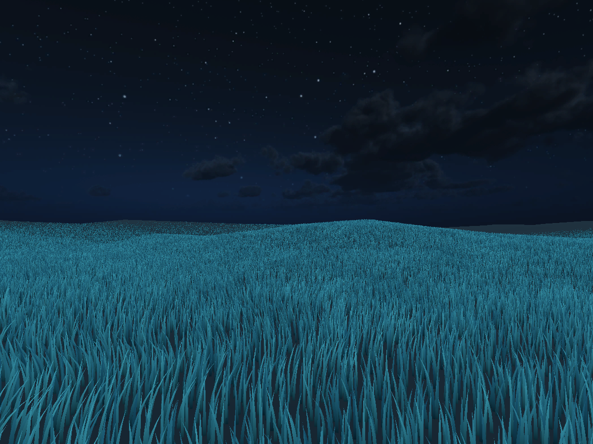 Grass 〈Night〉