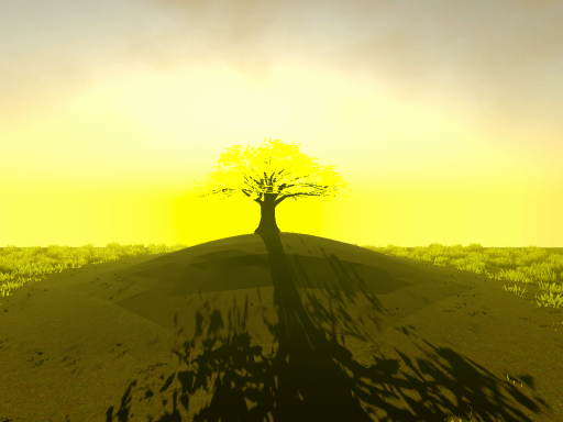 Dream Field