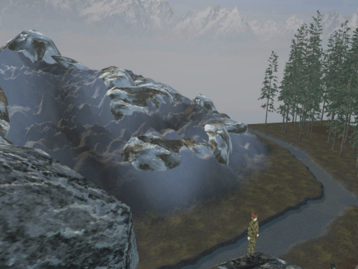 Snow Leopard Training Environment