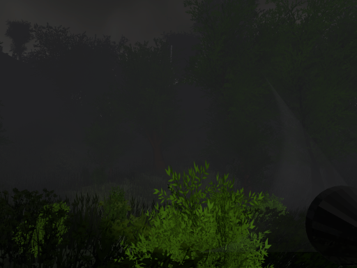 rain