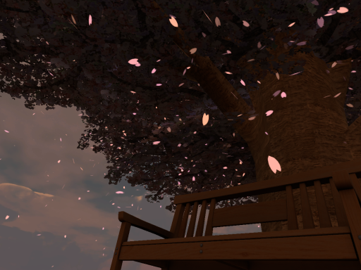 Grand Sakura