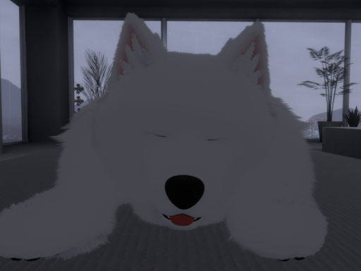 Rainy Lounge