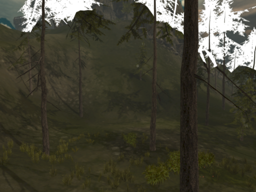 Hidden Ruins
