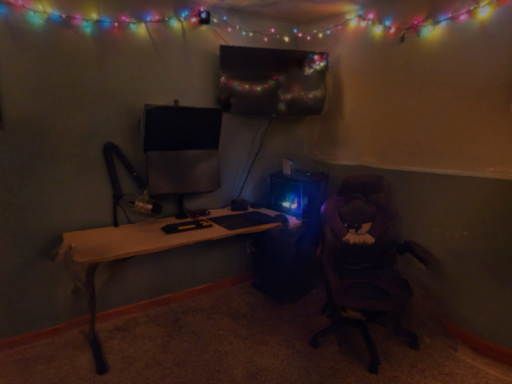 3d Room Scan Jamey