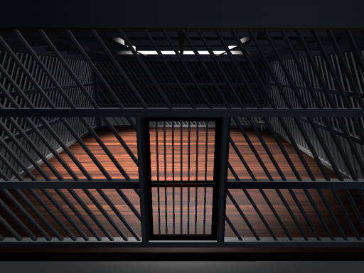 The Fight Cage