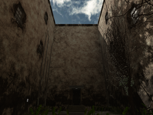 Ivy Courtyard