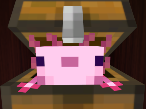 AxoRoom