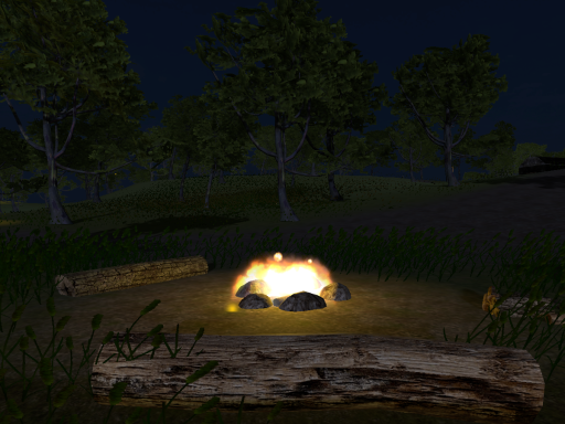 Night Field