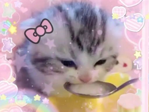 Kitty Palace