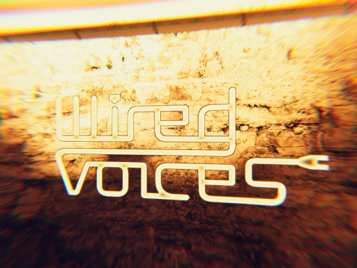 Wired Voices Warehouse