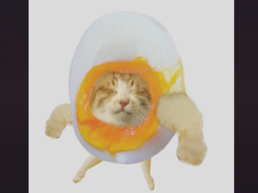 Eggshell 小蛋之家