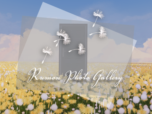 Rumon Photo Gallery