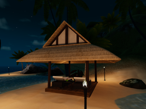Sly Fest Beach Night