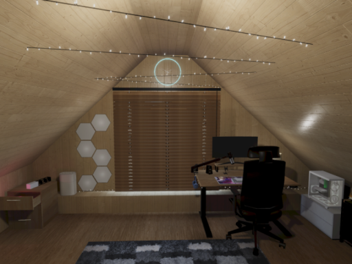 Savva's room