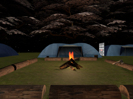 Forest Camp