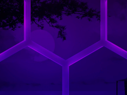 VIBE HXH