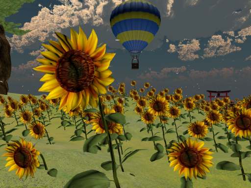 Sunflower Fields