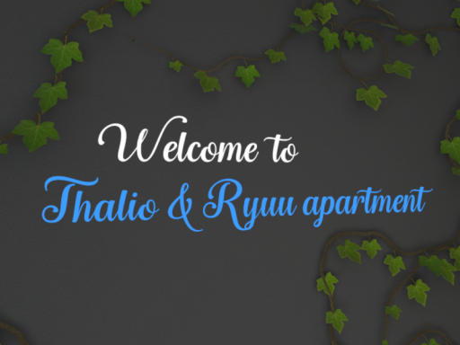 Couple apartment