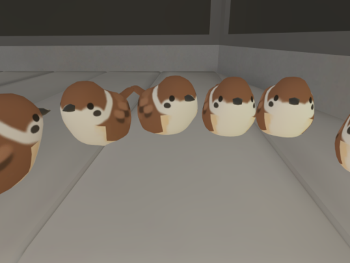 むんの宝物 おたおめの後