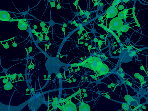 Neuronal Field