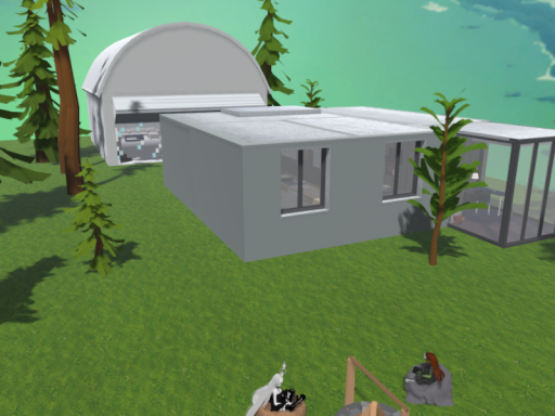 Chill Forest