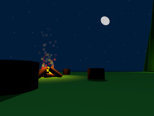 Cozy Clearing