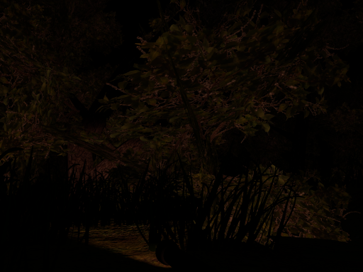 Eerie Woods