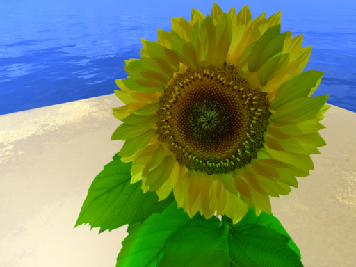 himawari