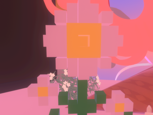 Buddi planet