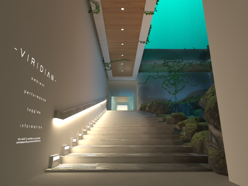 Solstice Cove