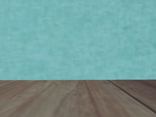 SAHON's room