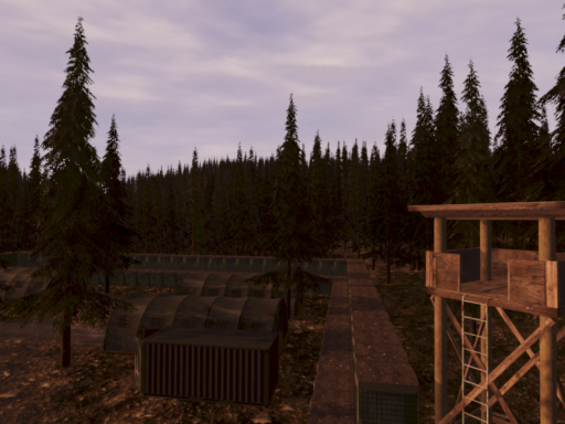 CAN boreal forest