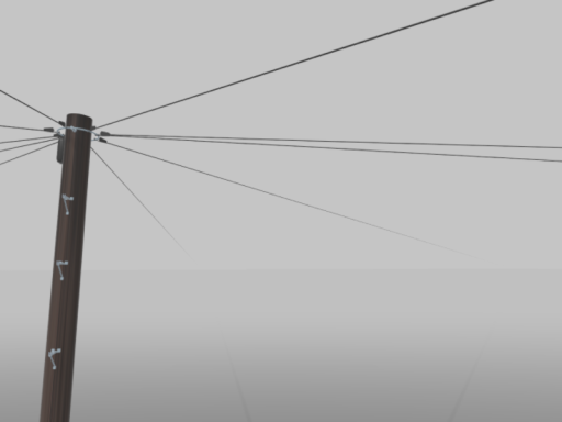 pole gallery