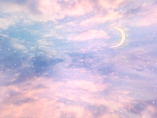 윤짱 World